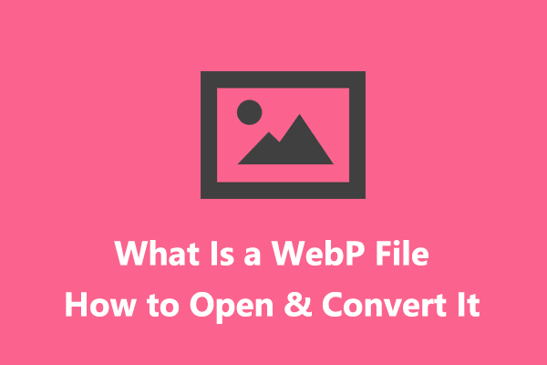 What Is a WebP File and How to Open & Convert WebP Files [Solved]