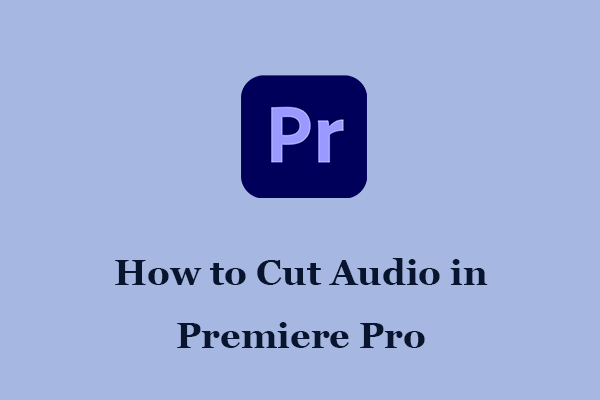 How To Reduce Wind Noise In Premiere Pro Three Methods For You 
