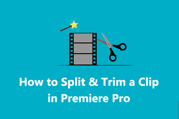 How to Split & Trim a Clip in Premiere Pro | Step-By-Step Guide