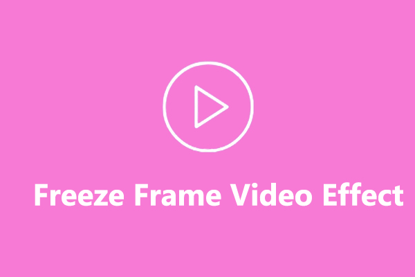 What Is Freeze Frame Video Effect & How to Freeze Frame a Video