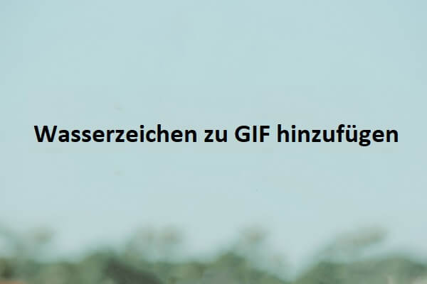 Wie fügt man ein Wasserzeichen in ein GIF ein? Hier sind 3 Methoden für Sie