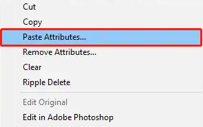 select Paste Attributes