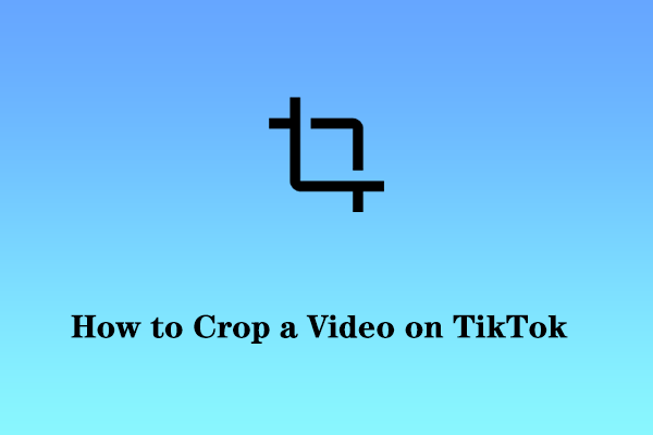 How to Crop a Video on TikTok on Windows/iPhones/Android