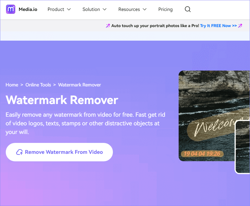 Media.io Watermark Remover