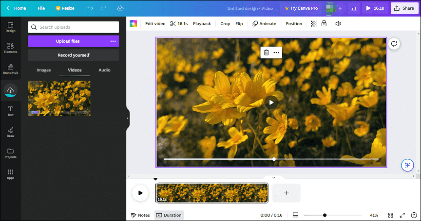 Canva video editor