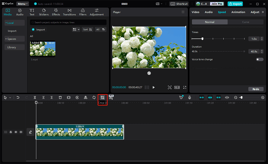 How to Crop on CapCut? A Step-by-Step Guide for You