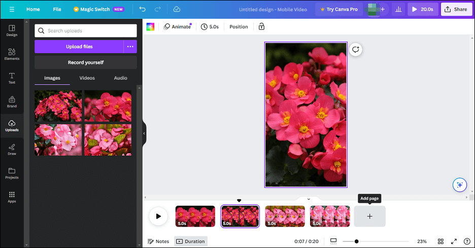 make a reel with pictures only on Canva