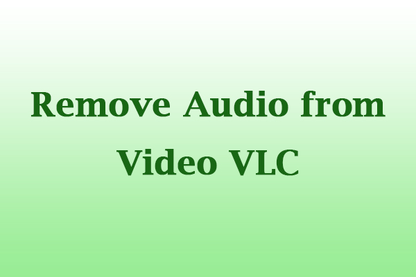 A Guidance on How to Remove Audio from Video in VLC [Windows/Mac]