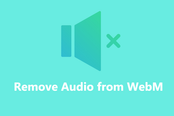 How to Remove Audio from WebM on Windows/Mac/Online