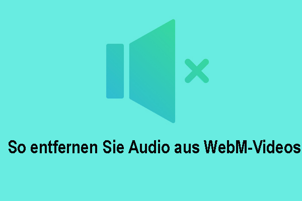 So entfernen Sie Audio aus einem WebM-Video unter Windows/Mac/Online