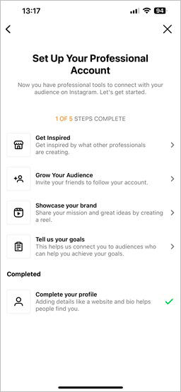 set up an Instagram professional account
