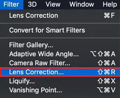 select the Lens Correction… option