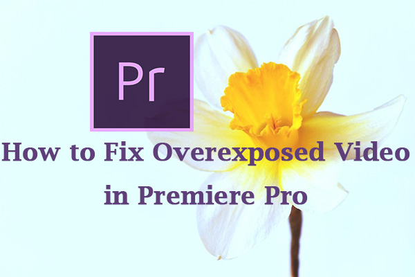 How to Fix Overexposed Video in Premiere Pro [Detailed Steps]