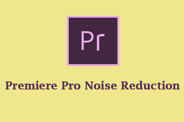 How to Use Premiere Pro Noise Reduction Feature in the Video