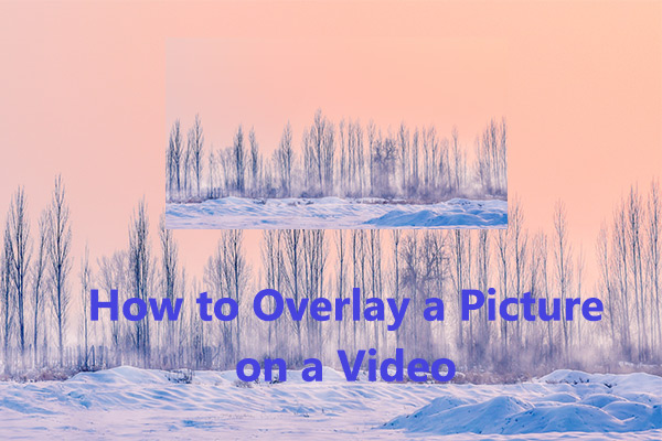 How to Add an Image Overlay on a Video: 3 Ways