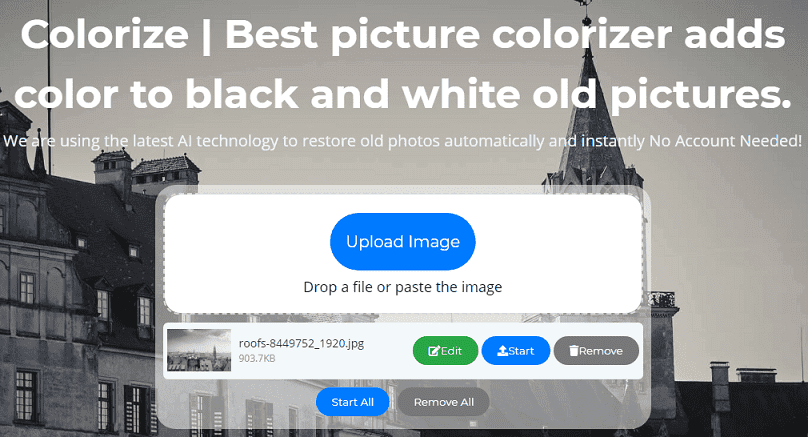 ImageColorizer.com