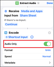 enable Audio Only