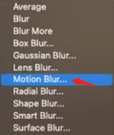 select Motion Blur