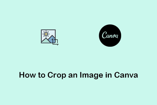 How to Crop an Image in Canva Diagonally?
