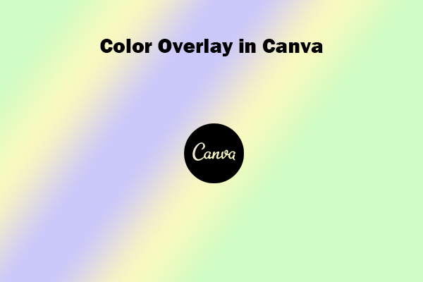 How to Add a Color Overlay in Canva – Step-by-step Guide