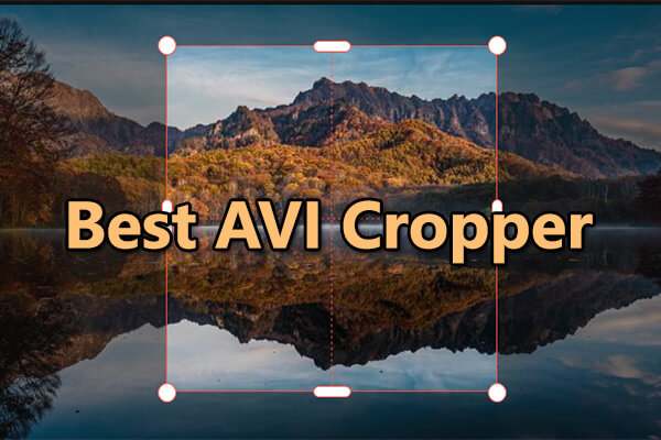How to Crop AVI Files on PC – Best 3 AVI Croppers