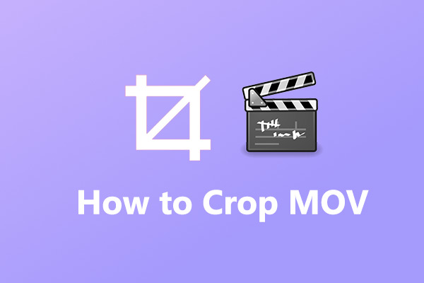 How to Crop MOV Files on PC - The Best MOV Cropper for You