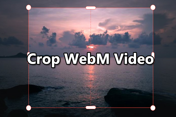 Best WebM Cropper to Crop WebM Video on PC & Online