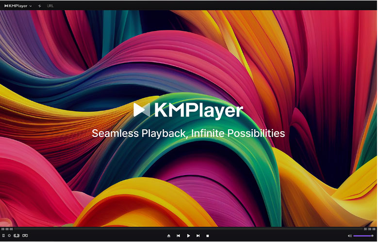 the interface of KMPlayer