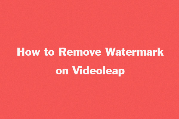 How to Remove Watermark on Videoleap in Different Ways?