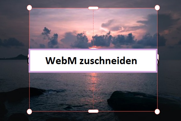 Zuschneiden von WebM-Videodateien auf PC & Online
