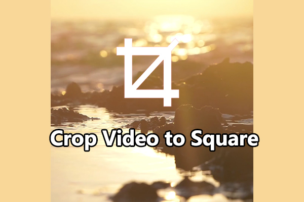 How to Crop Video to Square on Windows | Step-by-Step Guide