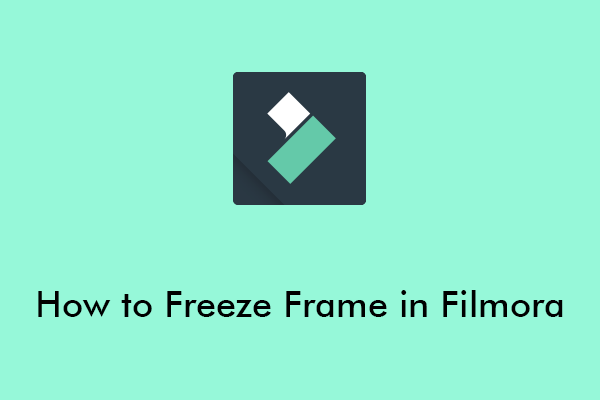 How to Freeze Frame in Filmora Easily? (Step-by-Step Guide)
