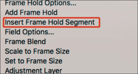 select Insert Frame Hold Segment