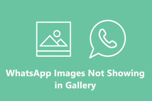 [Solved] How to Fix WhatsApp Images/Videos Not Showing in Gallery