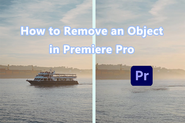 How to Remove Moving and Static Objects from Videos in Premiere Pro