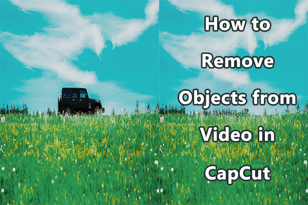 How to Remove Objects from Video in CapCut & Online Alternatives