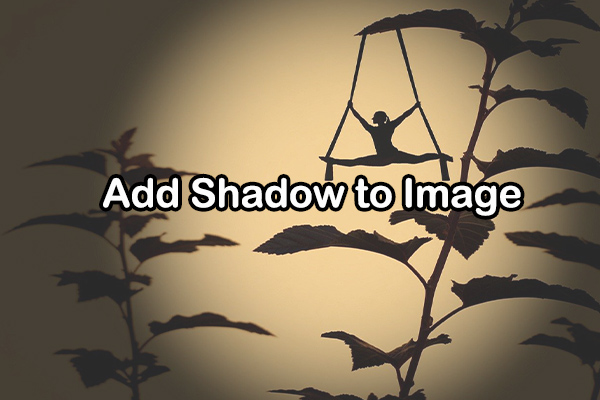 A Comprehensive Guide on How to Add Shadow to Image Easily