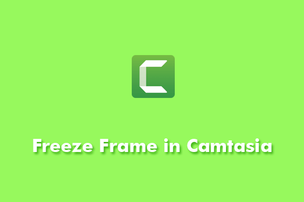 How to Freeze Frame in Camtasia? How to Extend Frame in Camtasia?