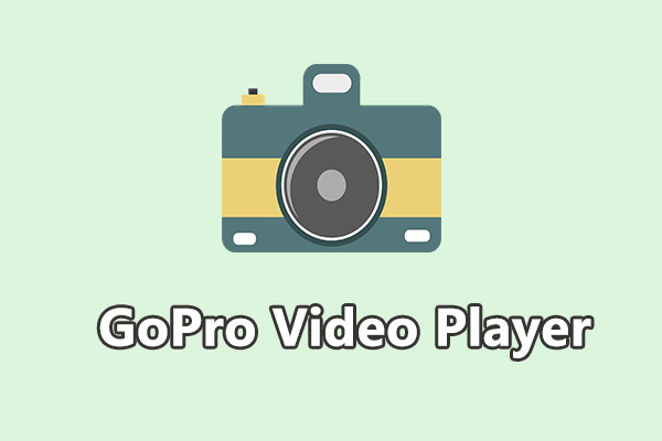 GoPro Video Player: How to Play GoPro Videos on PC