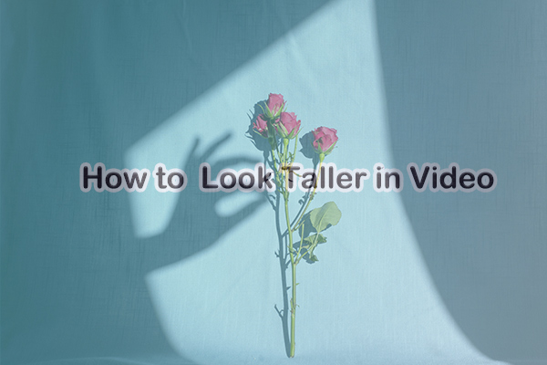 A Simple Tutorial: How to Look Taller in Videos on PC and iPhone