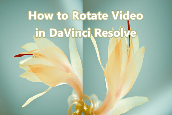 How to Rotate Video in DaVinci Resolve: 2 Methods