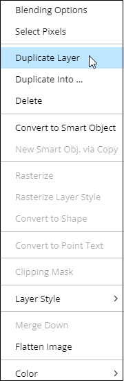 select Duplicate Layer