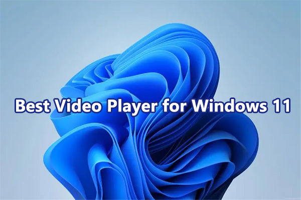 Best Video Player for Windows 11 in 2024