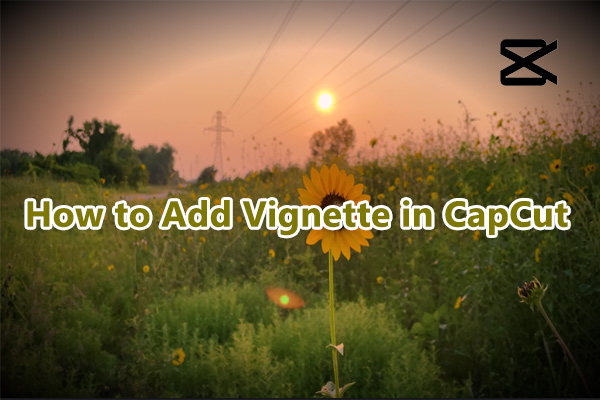 How to Add Vignette in CapCut [Step-by-Step Guide]