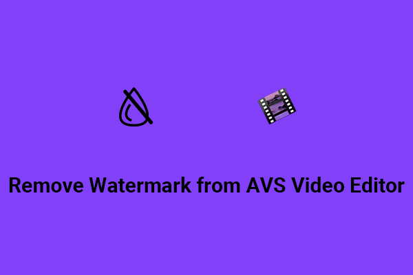 2 Ways to Quickly Remove Watermark from AVS Video Editor