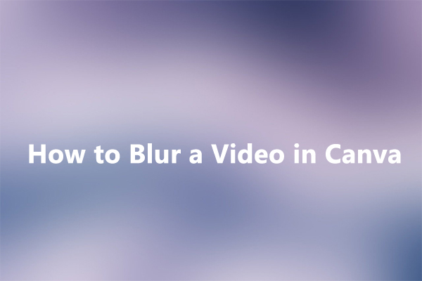 How to Blur a Video in Canva [Step-by-Step Guide]