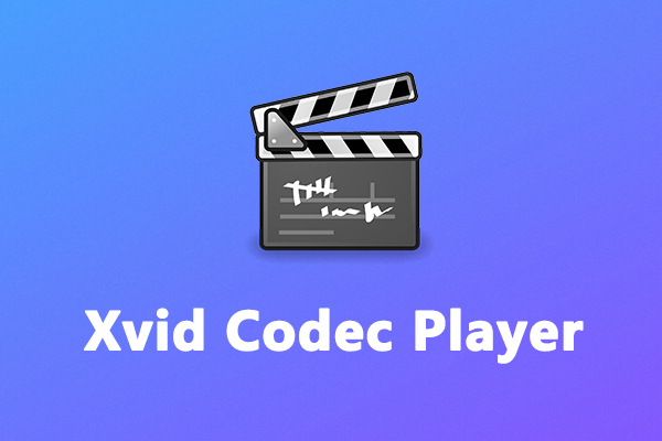 Discover the Best Xvid Codec Player for Windows 11/10