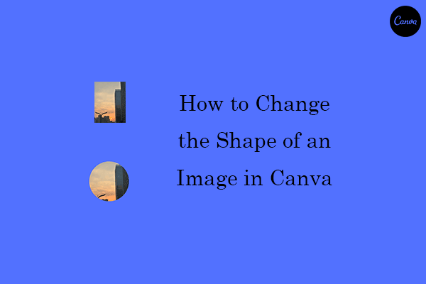 How to Change the Shape of an Image in Canva Easily and for Free?