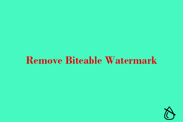 How to Remove Biteable Watermarks from Videos in Different Ways?