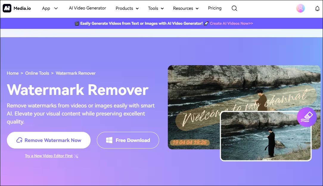 The interface of Media.io Watermark Remover